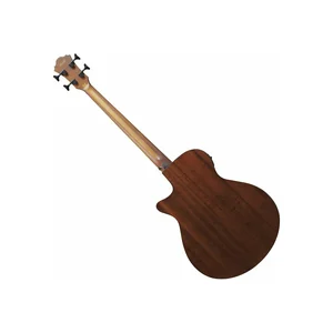 Ibanez AEGB24E-MHS