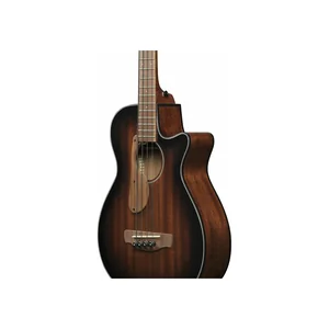 Ibanez AEGB24E-MHS