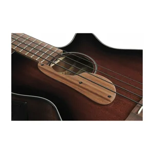 Ibanez AEGB24E-MHS