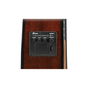 Ibanez AEGB24E-MHS