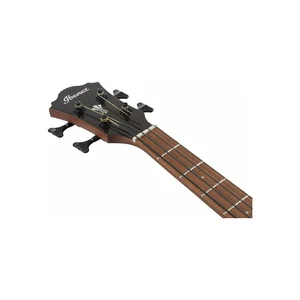 Ibanez AEGB24E-MHS