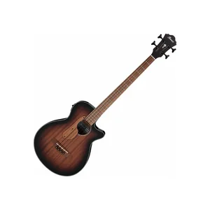 Ibanez AEGB24E-MHS