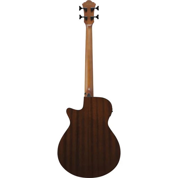 Ibanez AEGB24FE-MHS Fretless