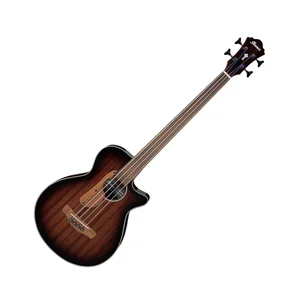 Ibanez AEGB24FE-MHS Fretless
