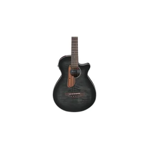 Ibanez AEGB25E-TKH