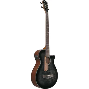 Ibanez AEGB25E-TKH