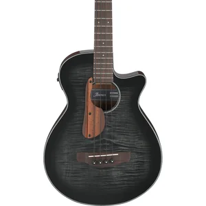 Ibanez AEGB25E-TKH
