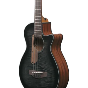Ibanez AEGB25E-TKH