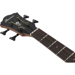 Ibanez AEGB25E-TKH