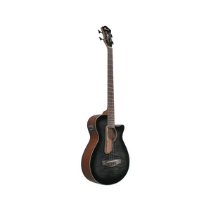Ibanez AEGB25E-TKH
