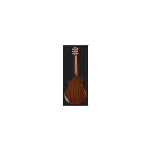 Ibanez AEWC11-DVS