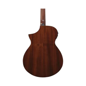 Ibanez AEWC11-DVS