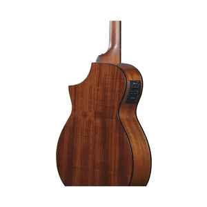 Ibanez AEWC11-DVS