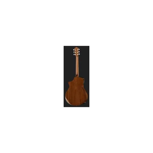 Ibanez AEWC11-TCB