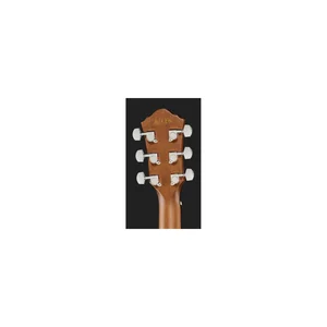 Ibanez AEWC11-TCB