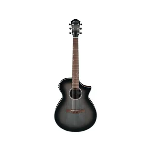 Ibanez AEWC11-TCB