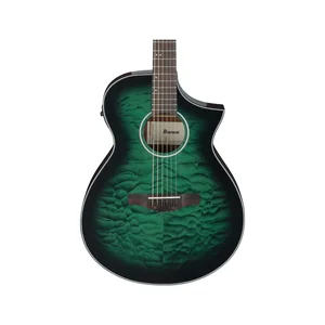 Ibanez AEWC16QA-TEH