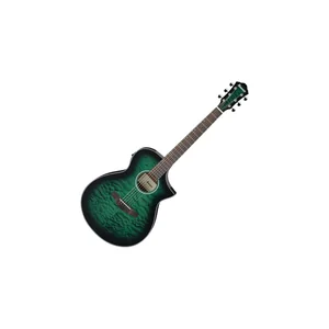 Ibanez AEWC16QA-TEH