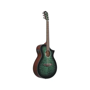 Ibanez AEWC16QA-TEH