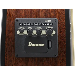 Ibanez AEWC16QA-TKH