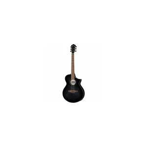 Ibanez AEWC400-TKS