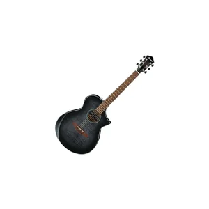 Ibanez AEWC400-TKS