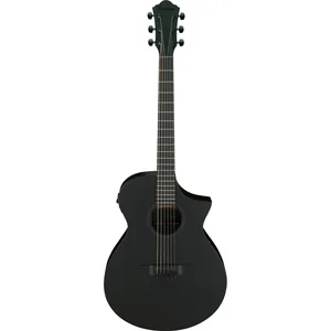 Ibanez AEWC621-BOT