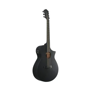 Ibanez AEWC621-BOT