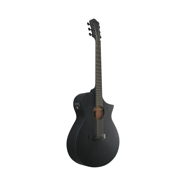 Ibanez AEWC621-BOT