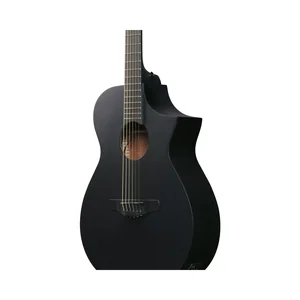 Ibanez AEWC621-BOT