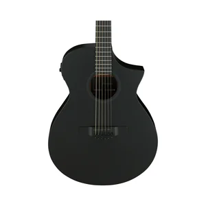 Ibanez AEWC621-BOT