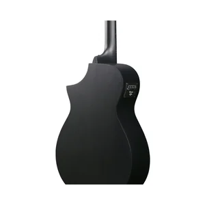 Ibanez AEWC621-BOT