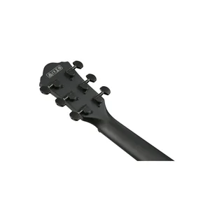 Ibanez AEWC621-BOT