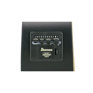 Ibanez AEWC621-BOT