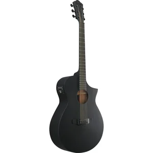 Ibanez AEWC621-BOT
