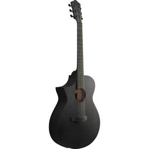 Ibanez AEWC621L-BOT