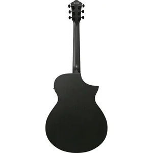 Ibanez AEWC621L-BOT