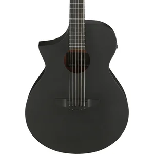 Ibanez AEWC621L-BOT