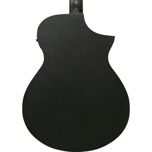 Ibanez AEWC621L-BOT