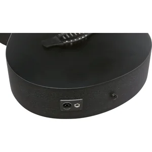 Ibanez AEWC621L-BOT