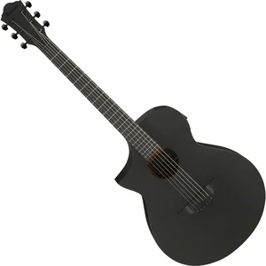 Ibanez AEWC621L-BOT