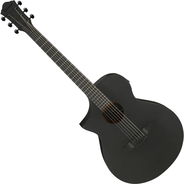 Ibanez AEWC621L-BOT