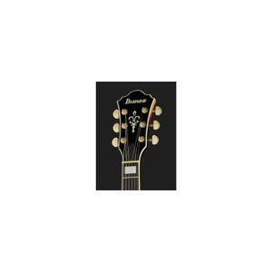 Ibanez AF95FM-AYS