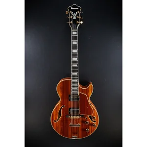 Ibanez AG95K-NT