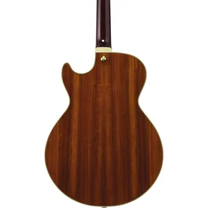 Ibanez AG95K-NT