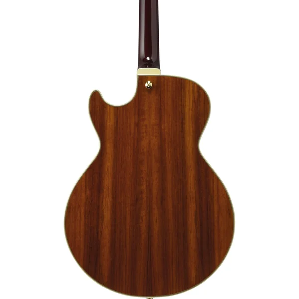 Ibanez AG95K-NT