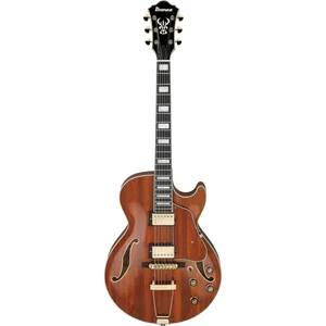 Ibanez AG95K-NT
