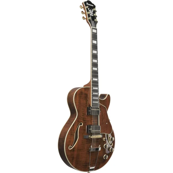 Ibanez AG95MG-DA