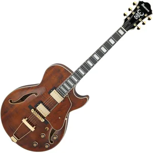 Ibanez AG95MG-DA