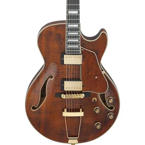 Ibanez AG95MG-DA